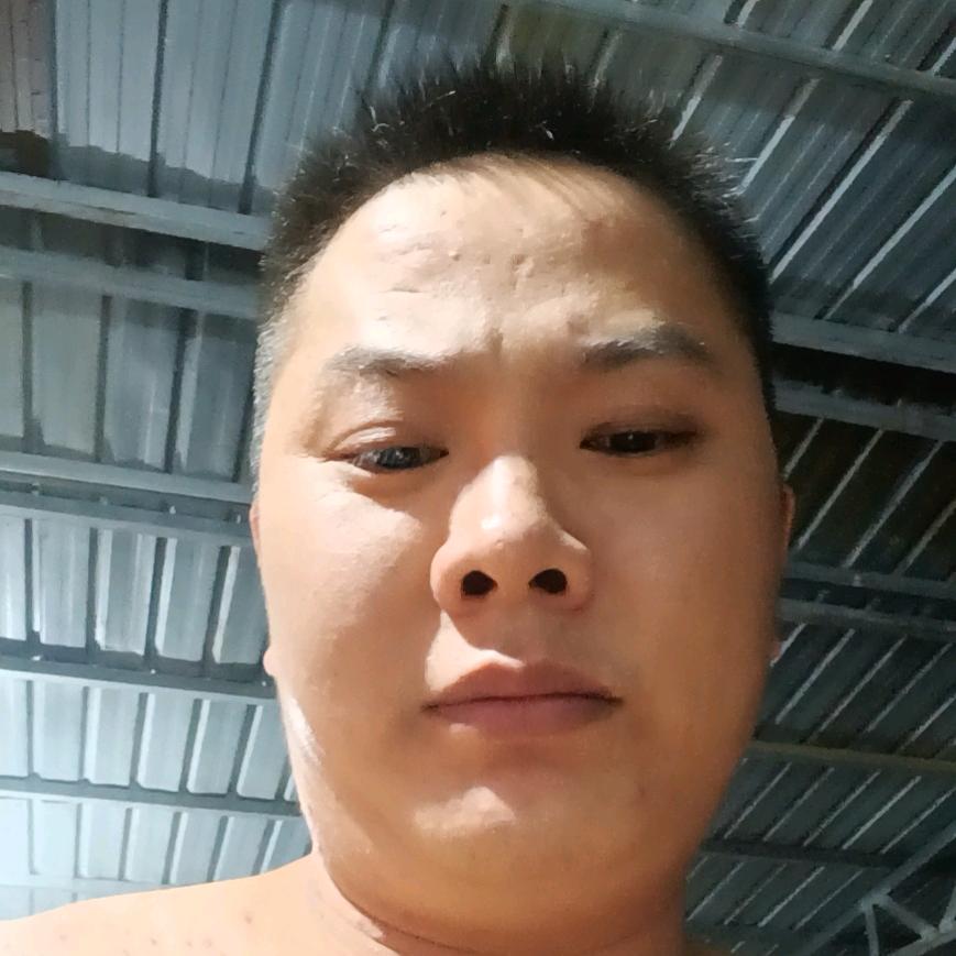 我是小小鸟
