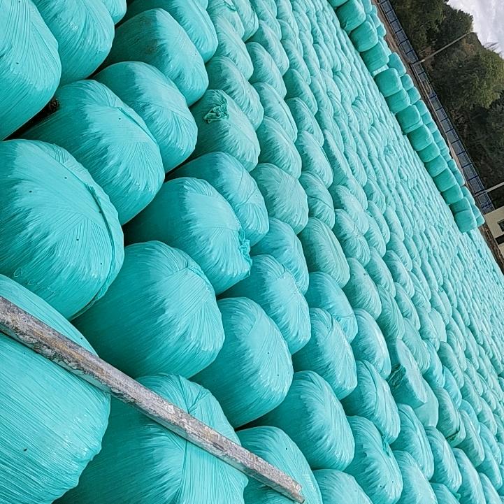 大西北牧草