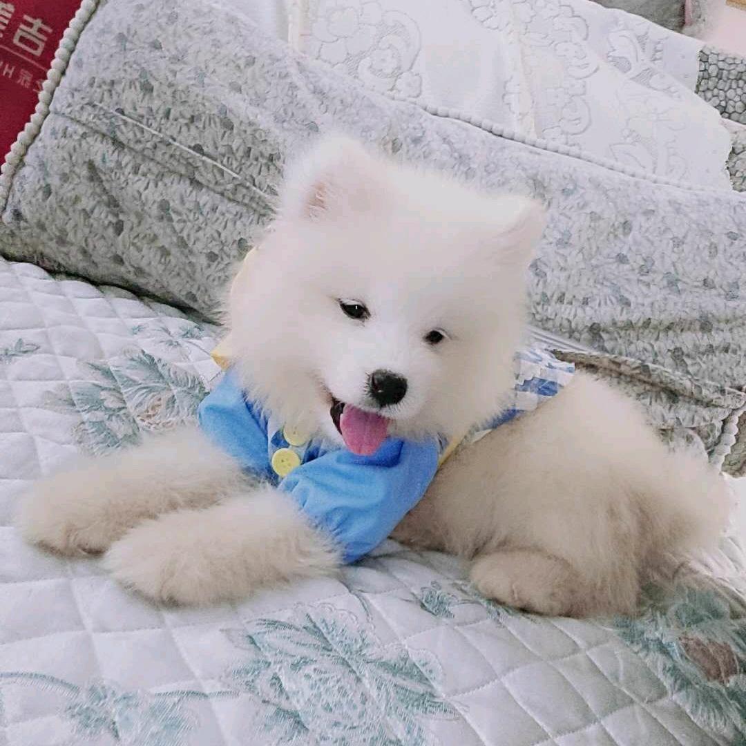 普通小孩热爱生活
