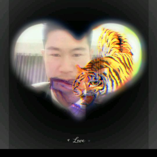 倾城伊人