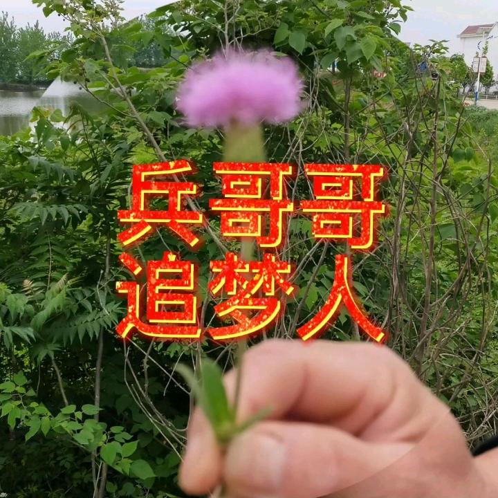 @兵哥哥🎤 追梦人
