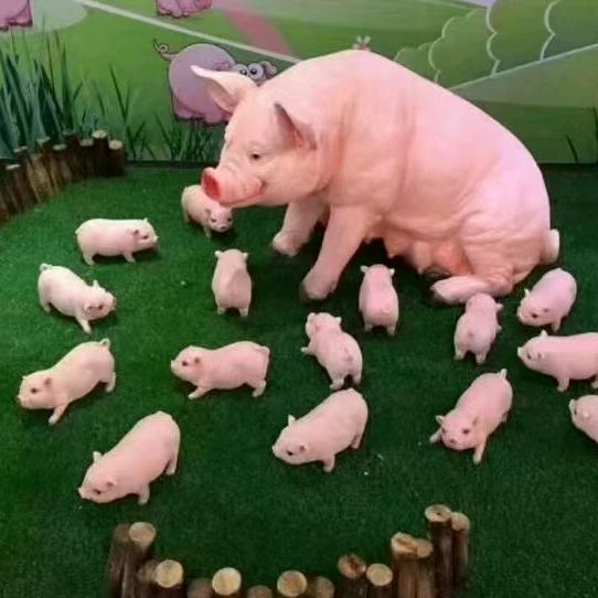 禾丰阜信源