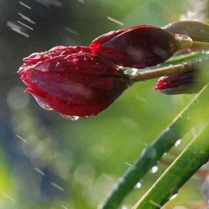 沐川博维汽修保养，美容