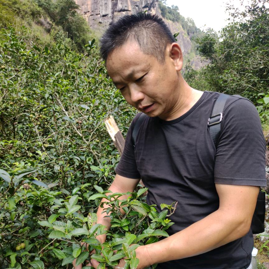 一杯茶