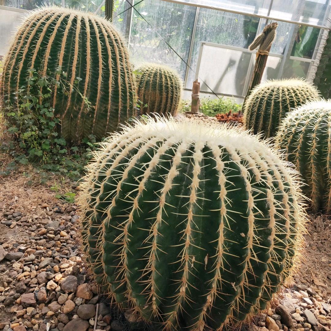 缘起缘灭