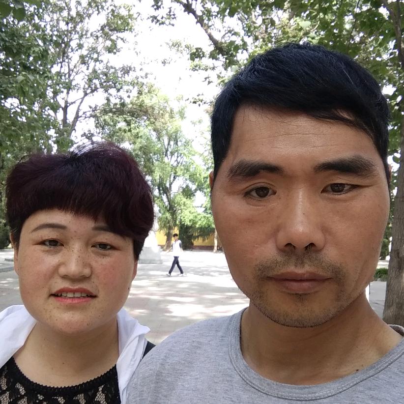 康战仿