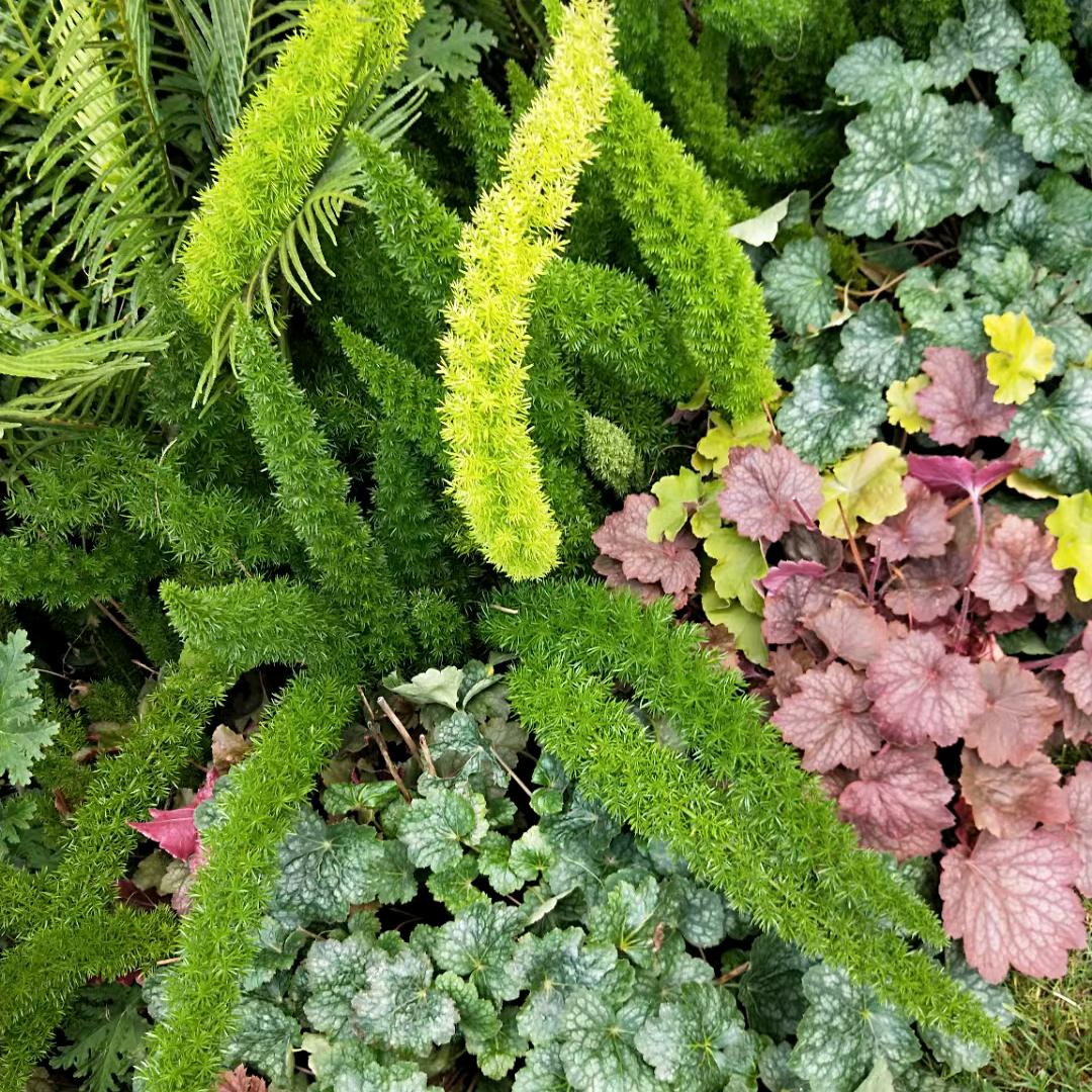 春暖花开🌸🌸