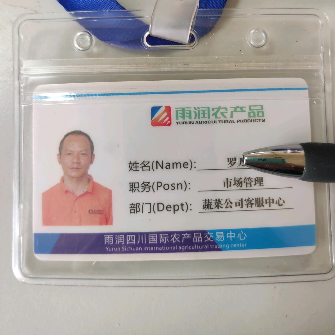雨润小罗