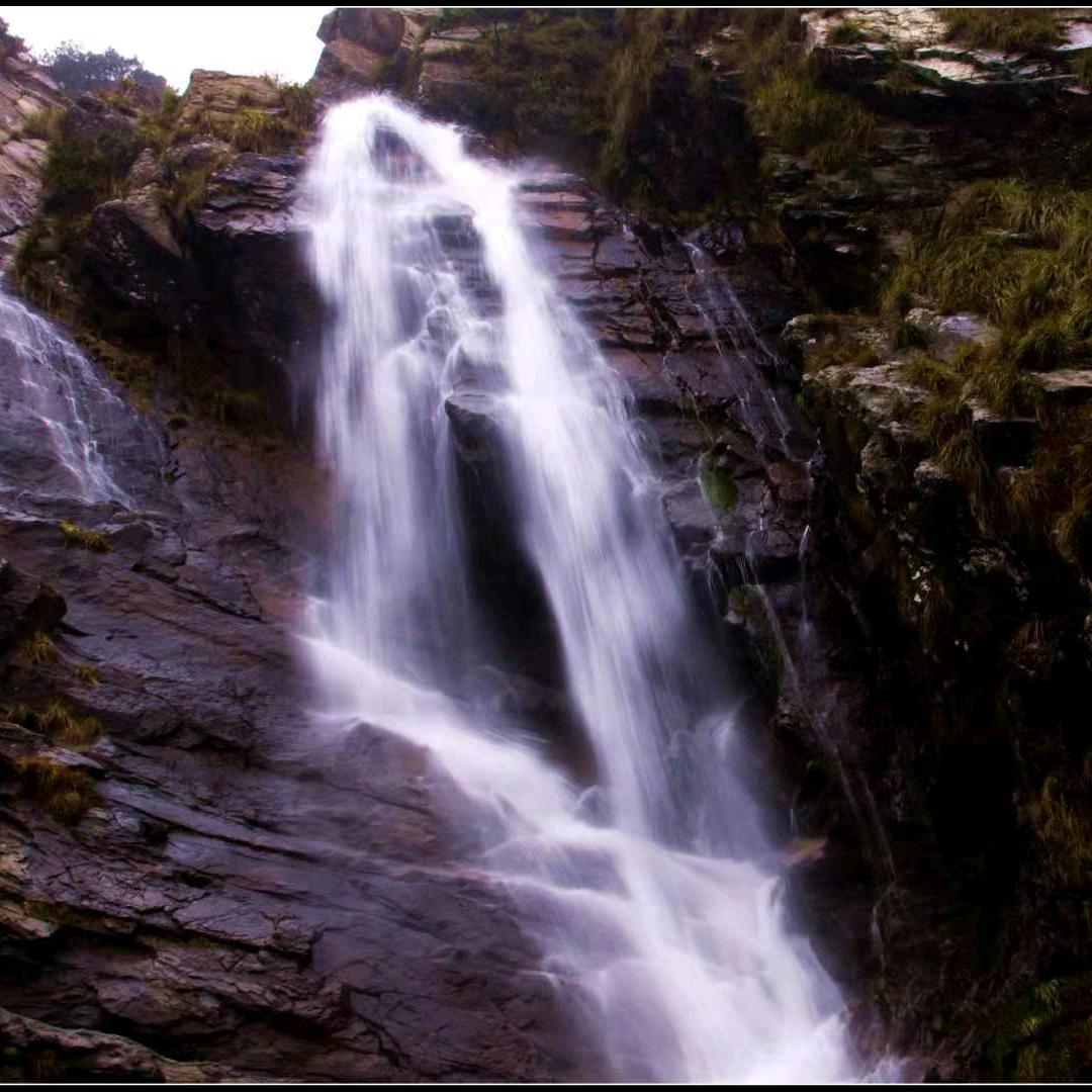 黄碧