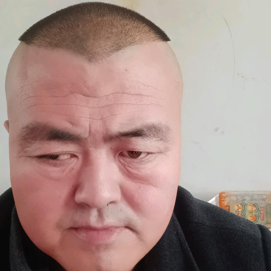 龙行天下扬帆起航