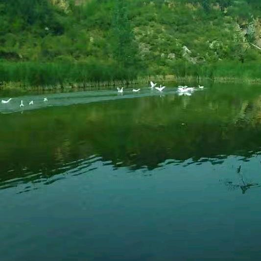 洛阳市瀍河回族区韩岭小吃服务饭店