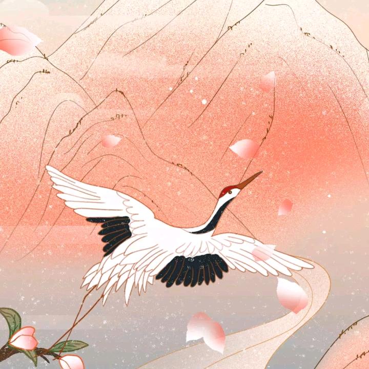 钱多多……