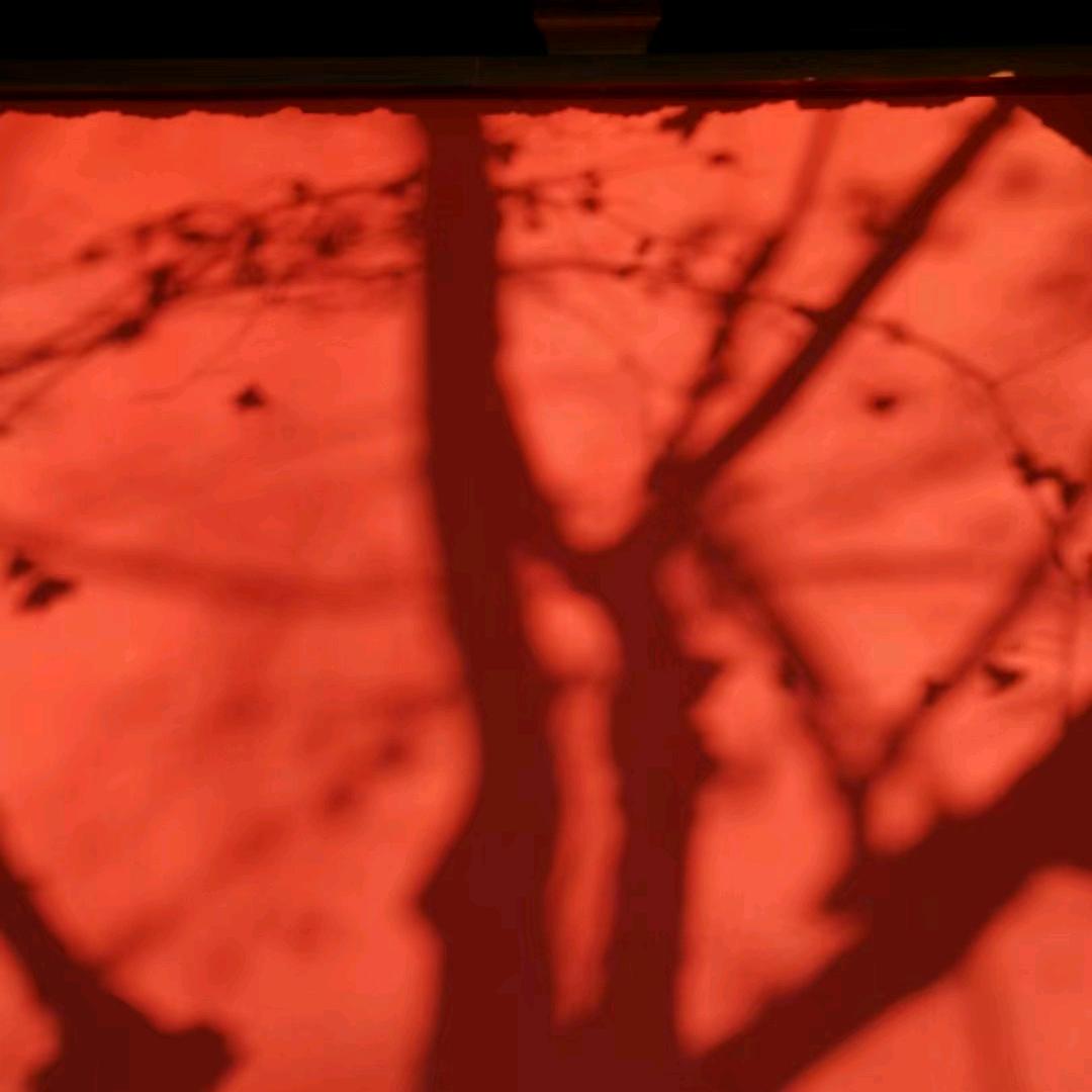 🍩今日份甜甜碎片