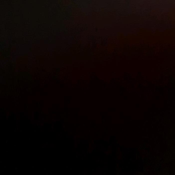 忍者是福，忍