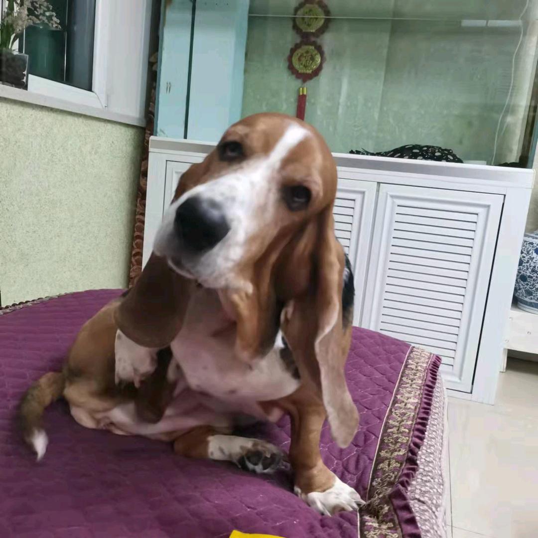 走心良品体验馆