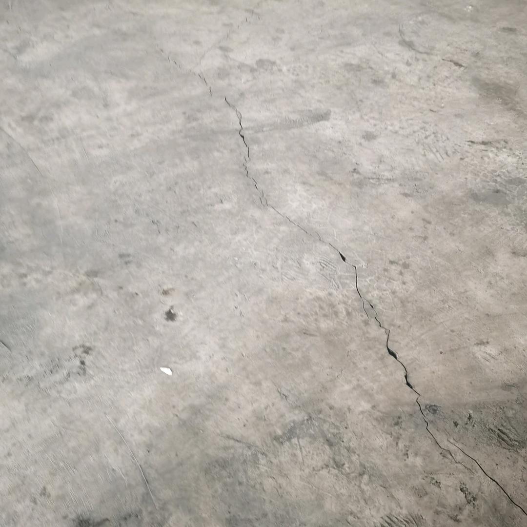 有你在路上