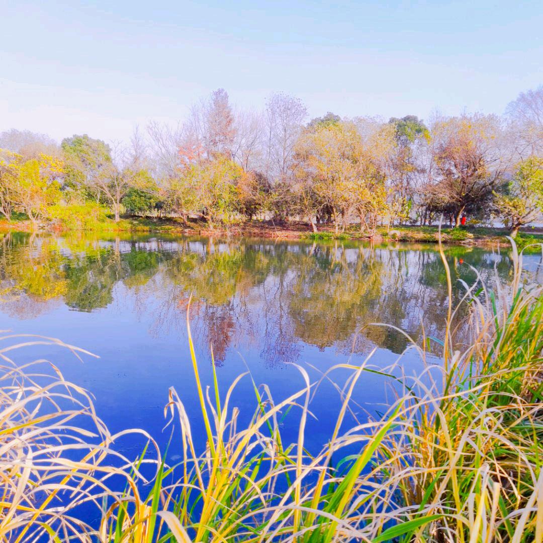 不以善小而不为