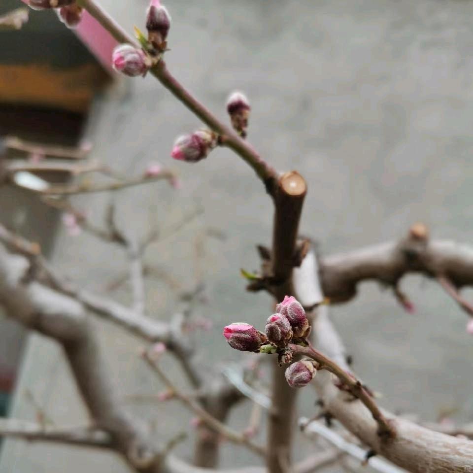 皓尚