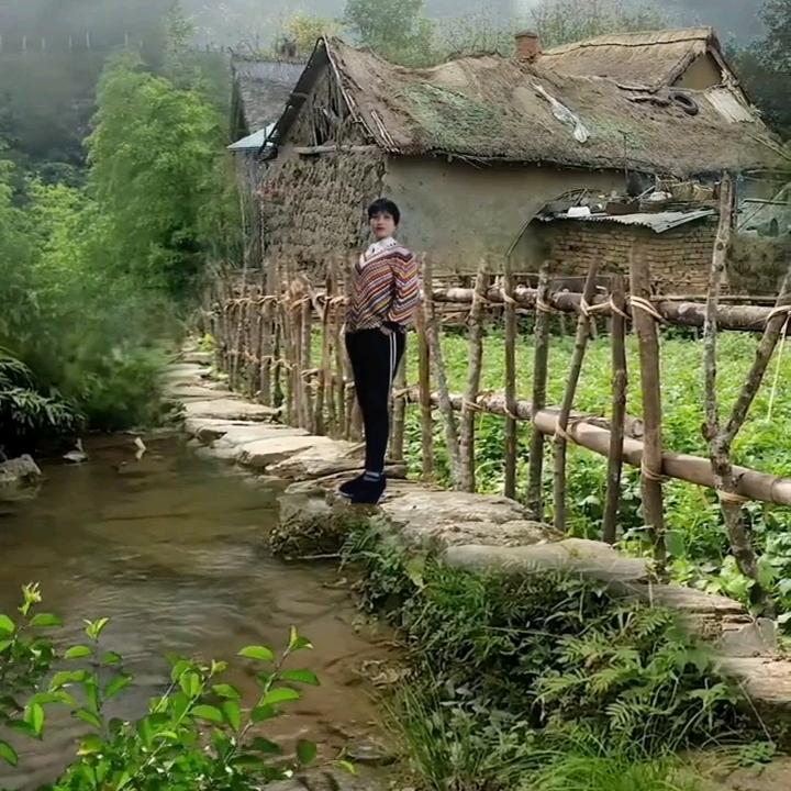 满山桃李