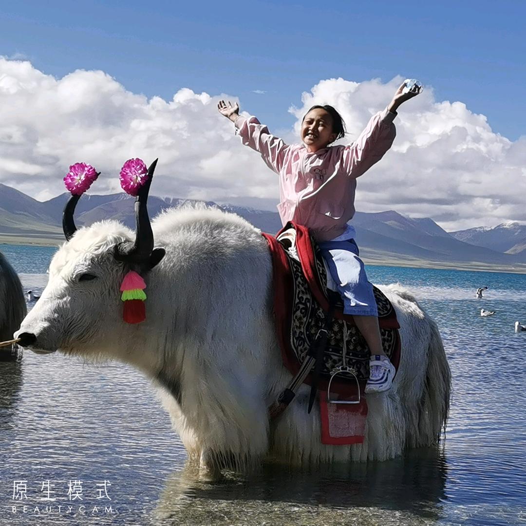 随遇而安