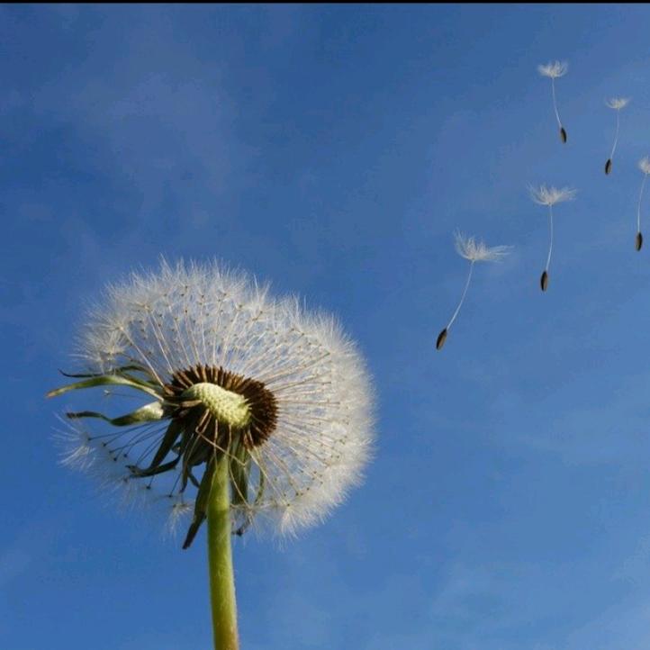 云淡风轻的日子