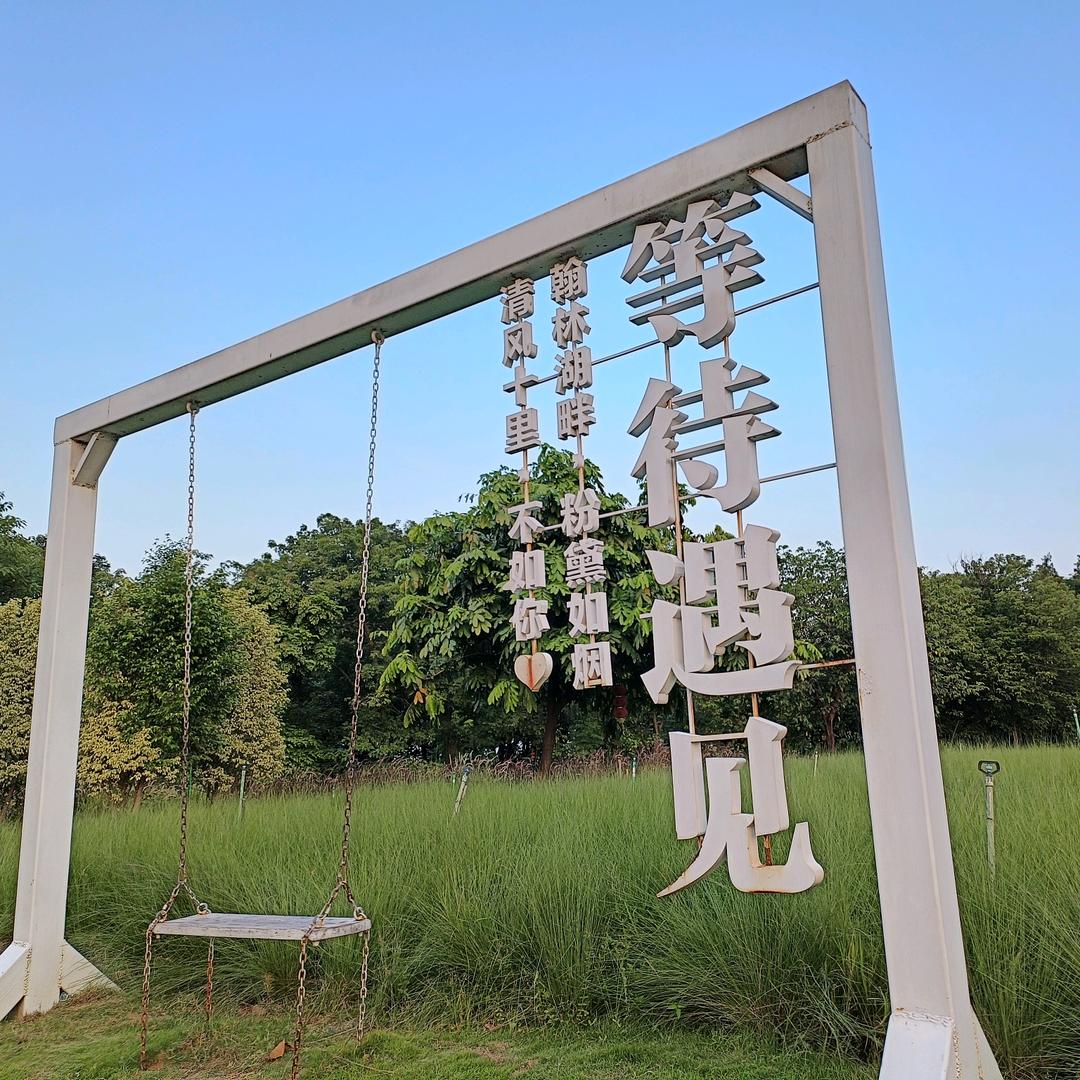 保留七秒钟的记忆
