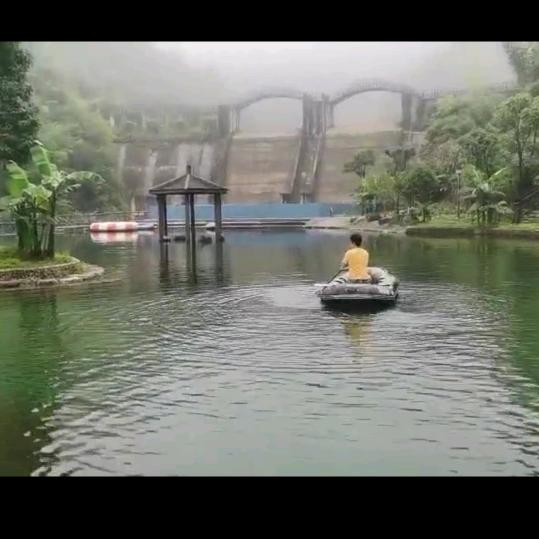 木子洋