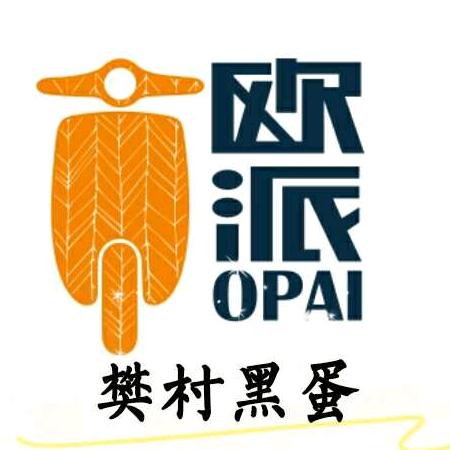 樊村黑蛋（欧派  金箭电动车）