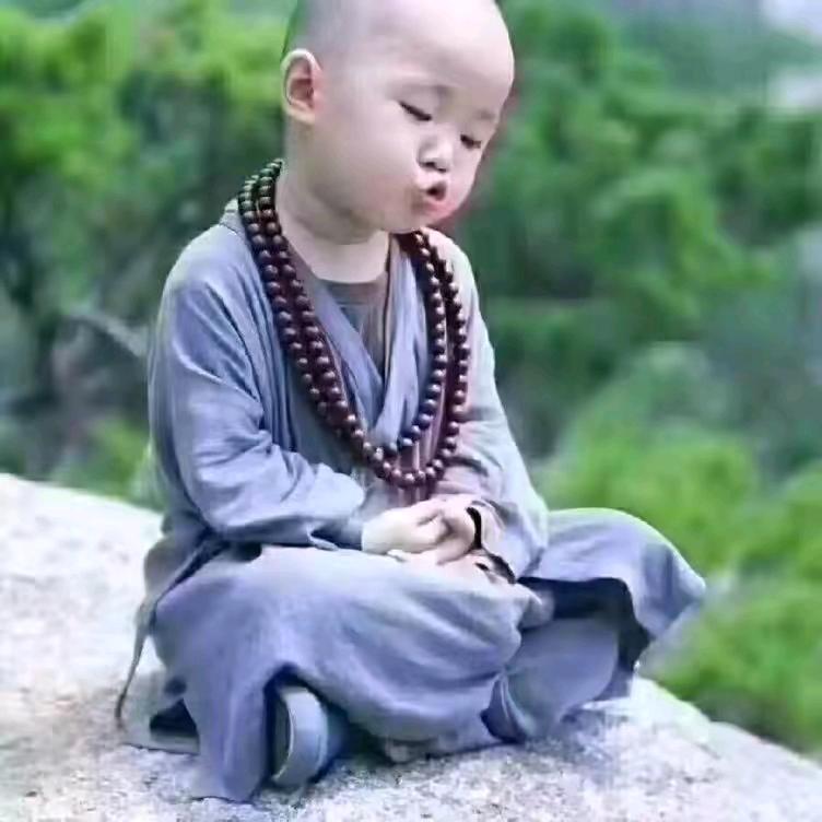 单解🐒人意