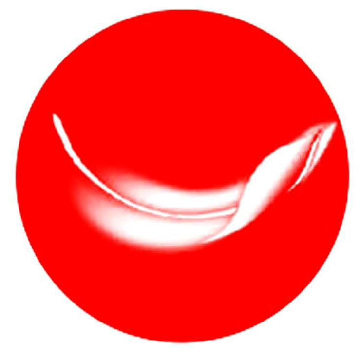 鹅毛肆