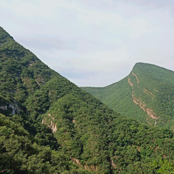 不甘示弱