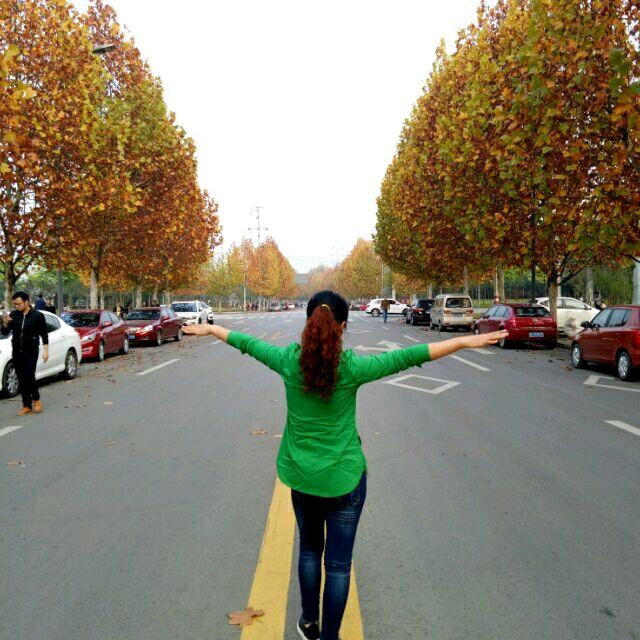 为罗停刘           🐯🐯