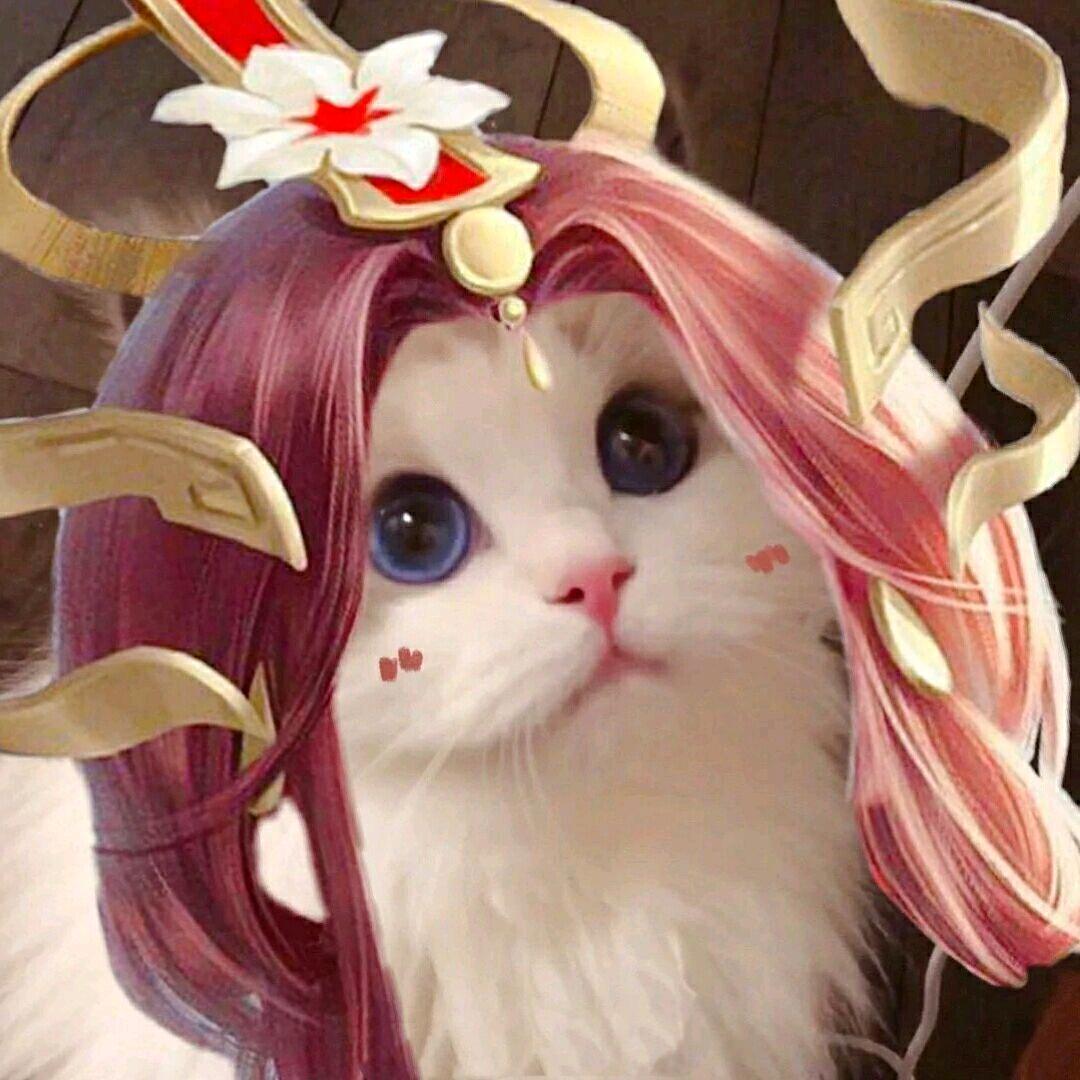 王伟奇