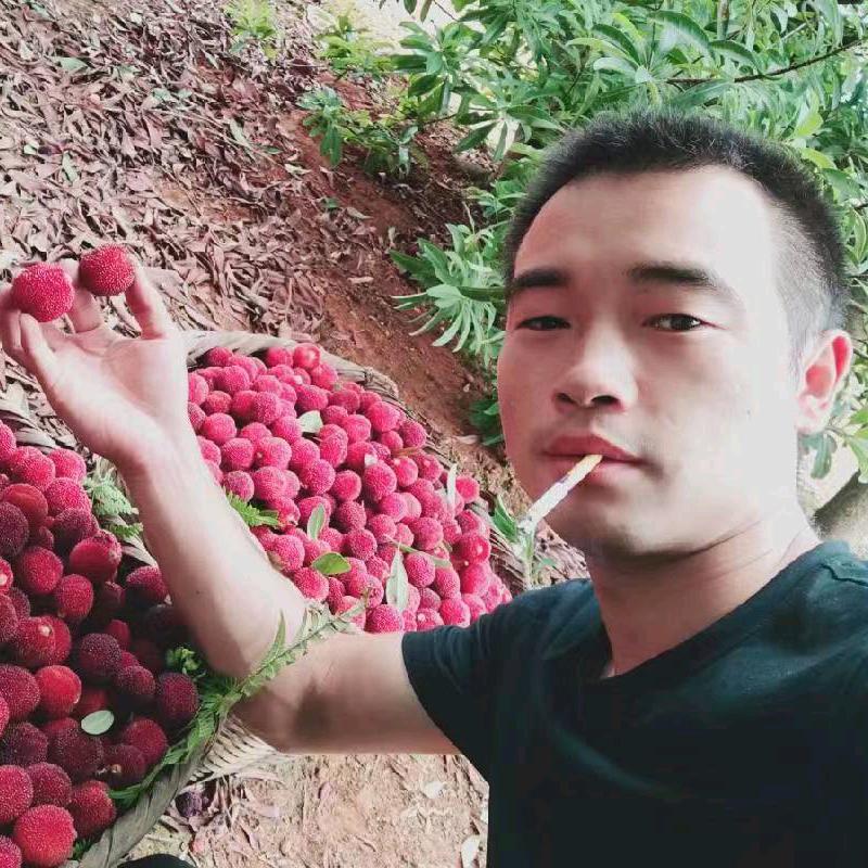 小梅鲜果批发
