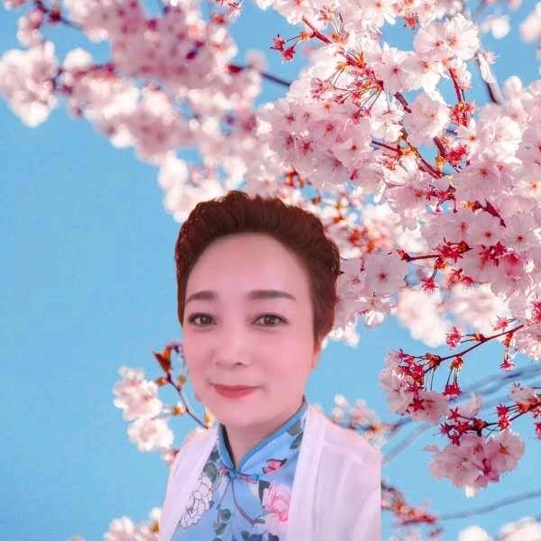 戏曲演出15837982315663