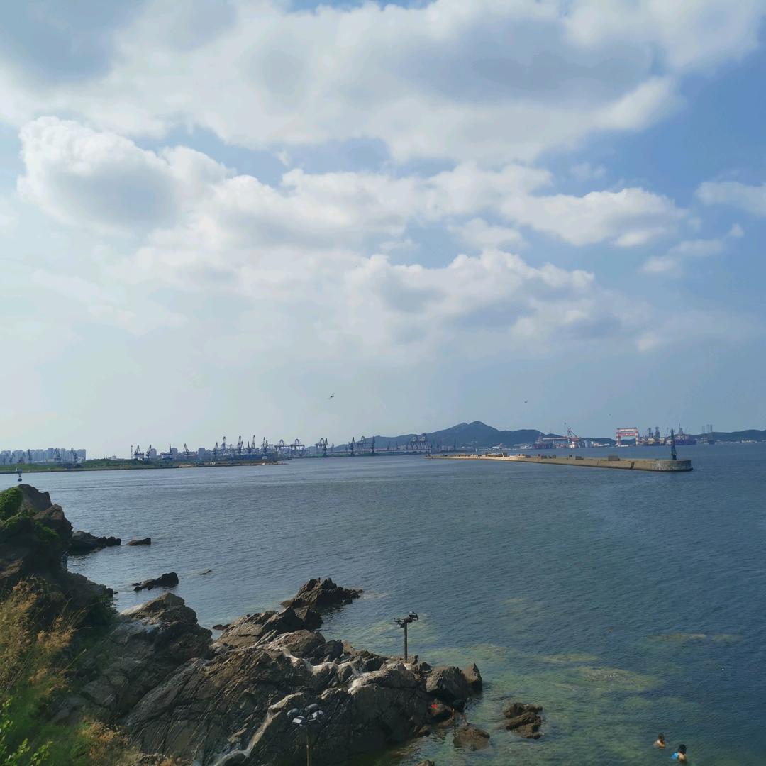 小龙很ok
