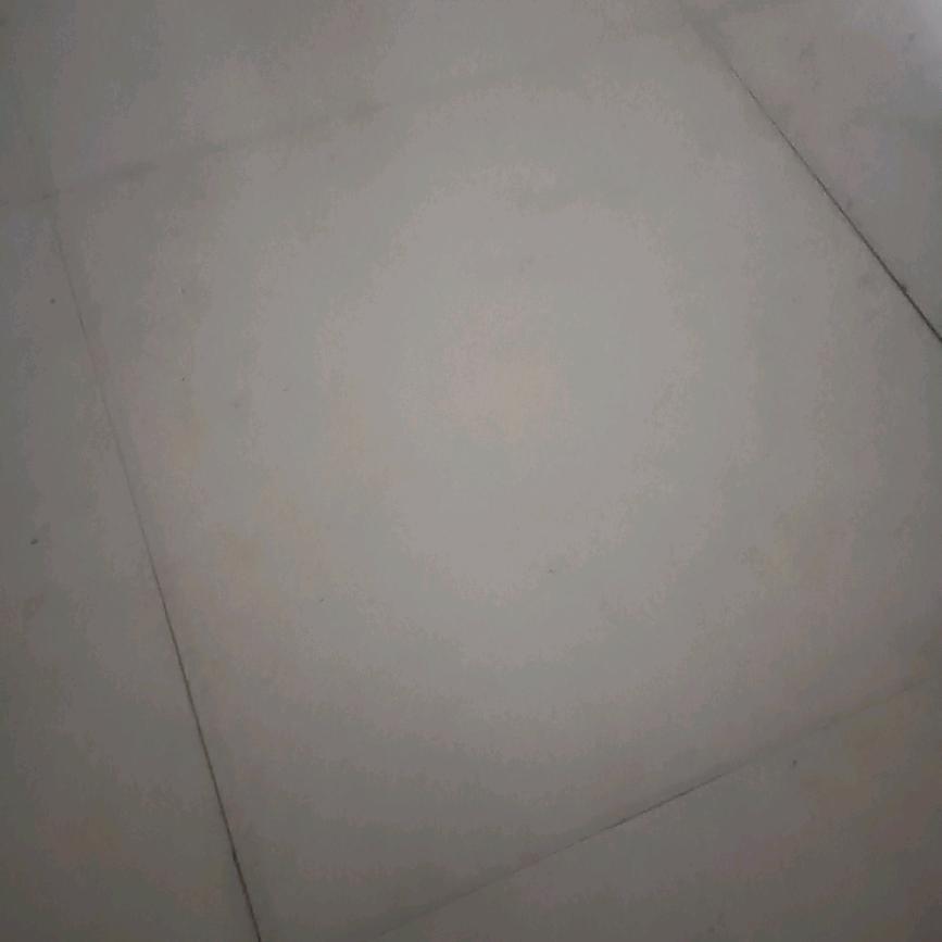 小全