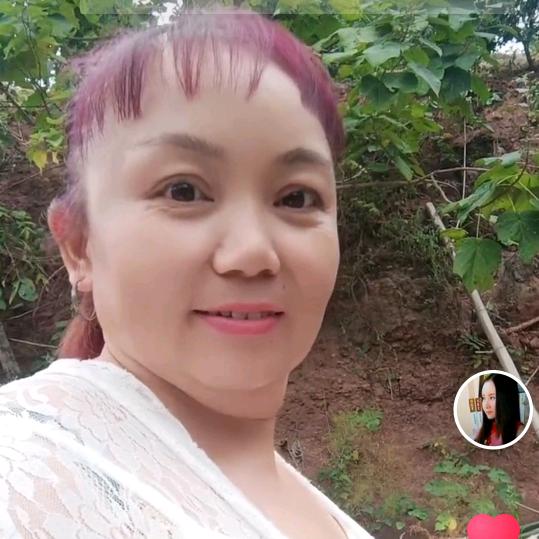 杨三妹