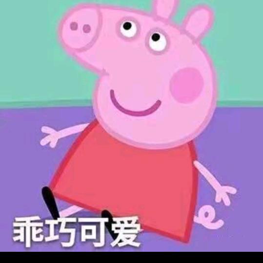 爱玩游戏的佩奇