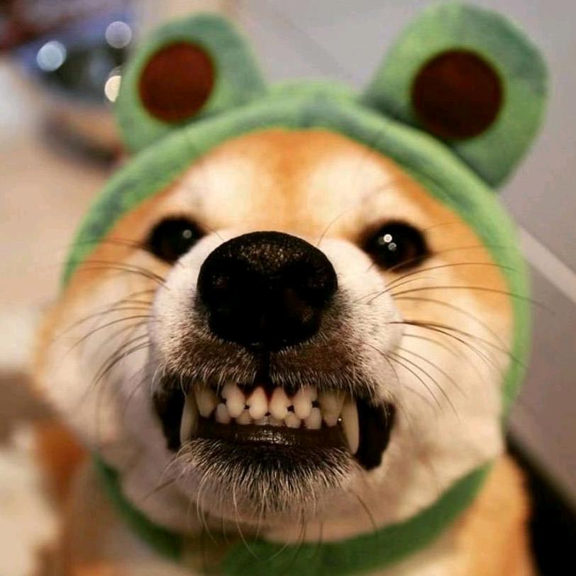昊林哥