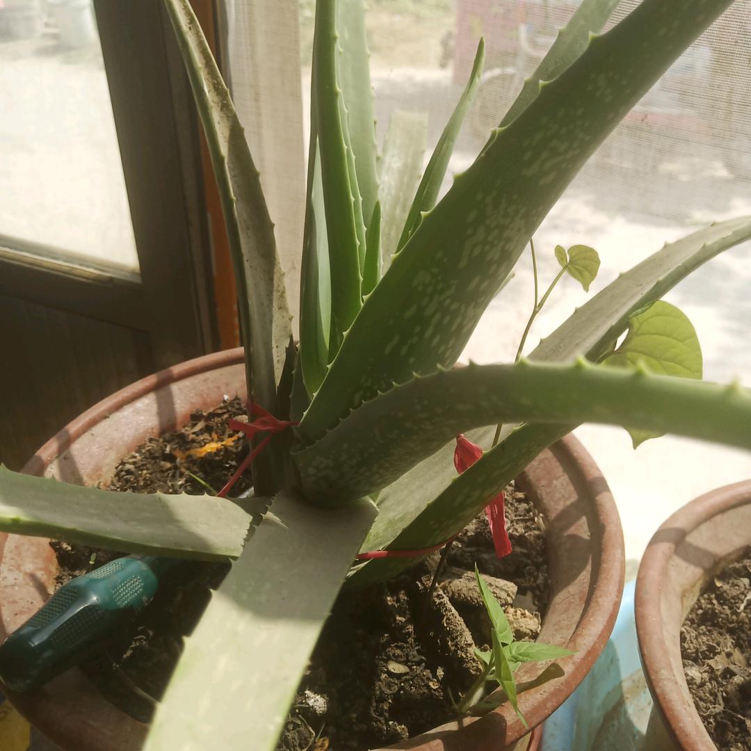 忍一时风平浪静