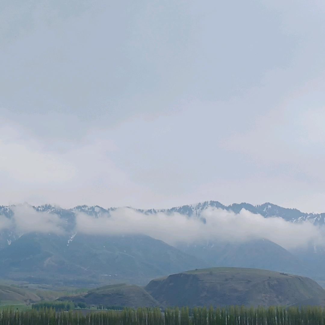 用户118308480905，光头日记