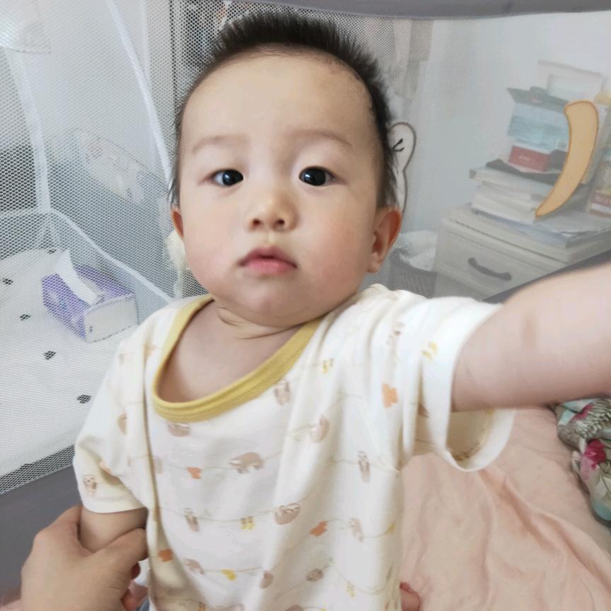 美C