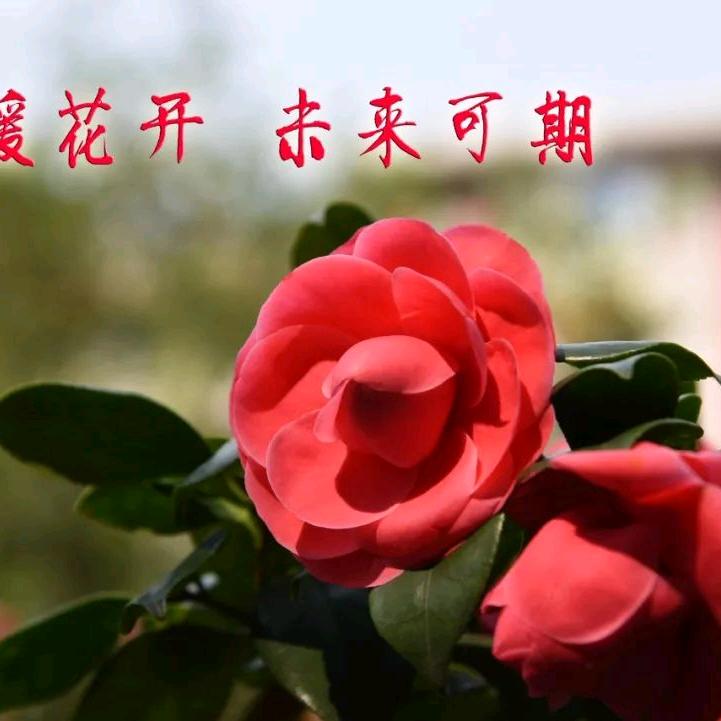 逆流而上的帅哥