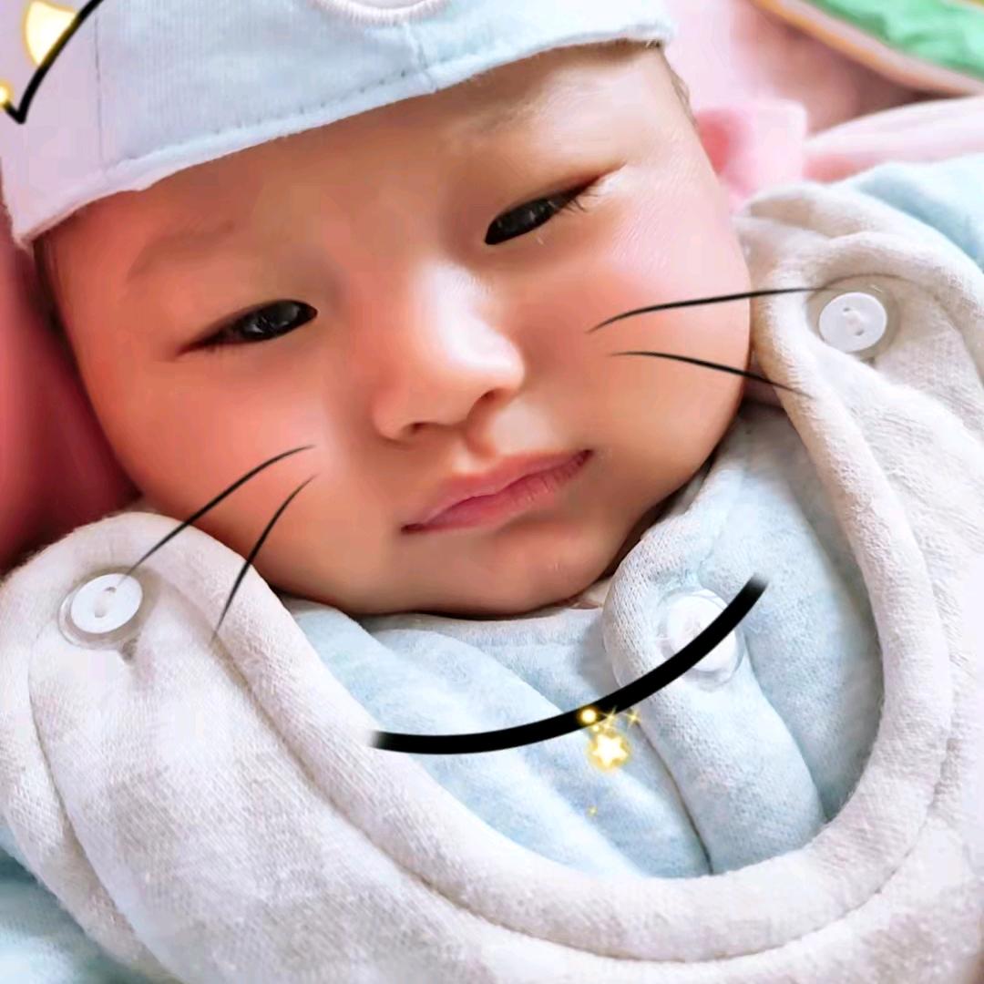 青竹翠柳