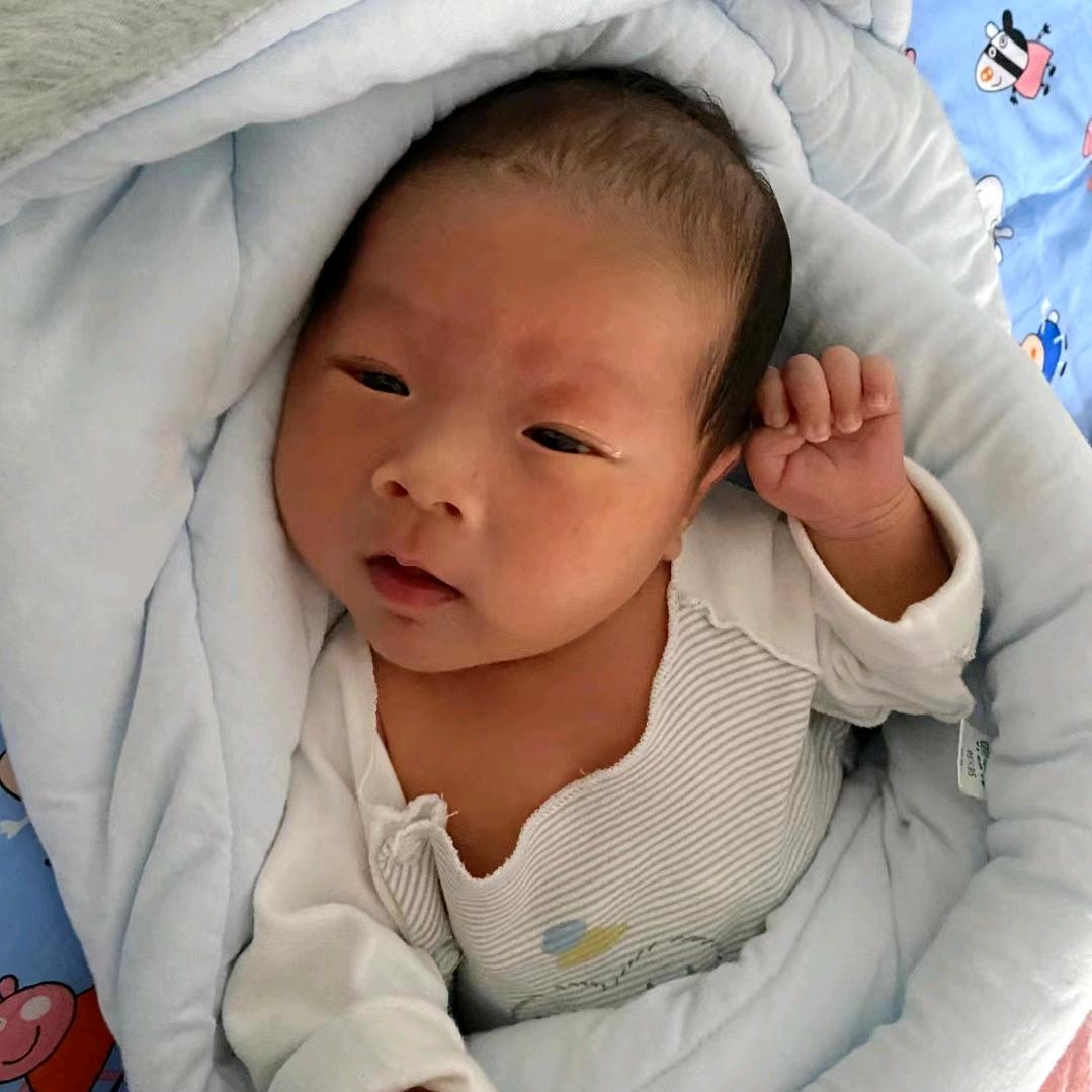 小付