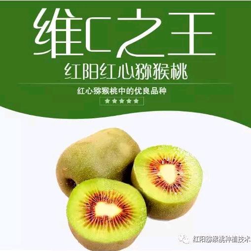 张灯结彩