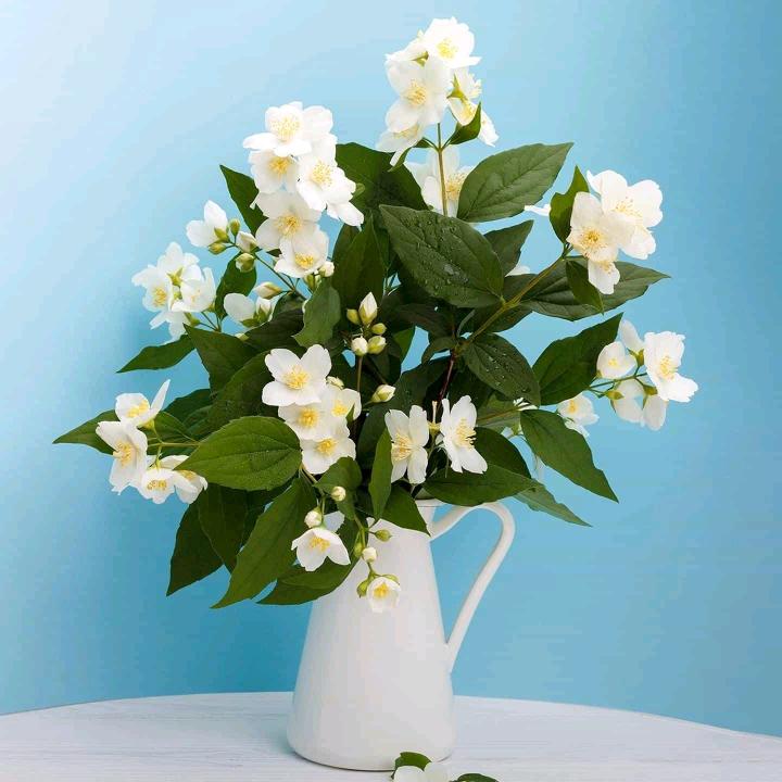 诸城市品德机械有限公司