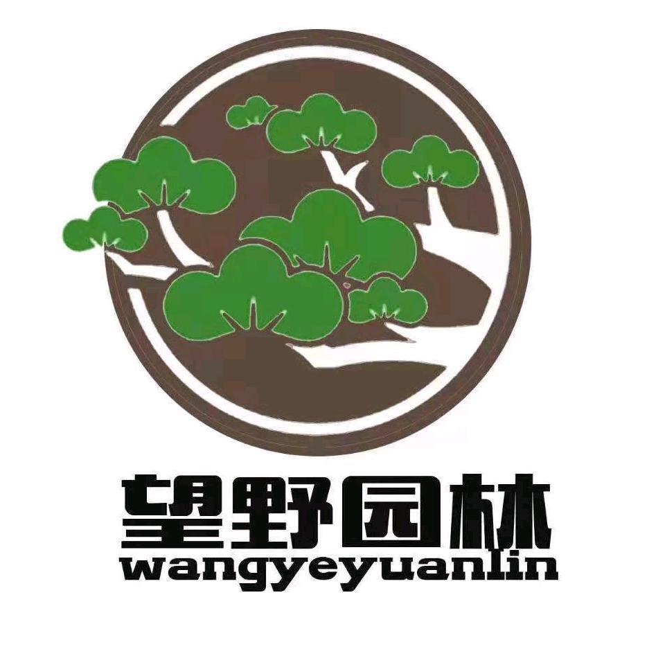 望野盆景