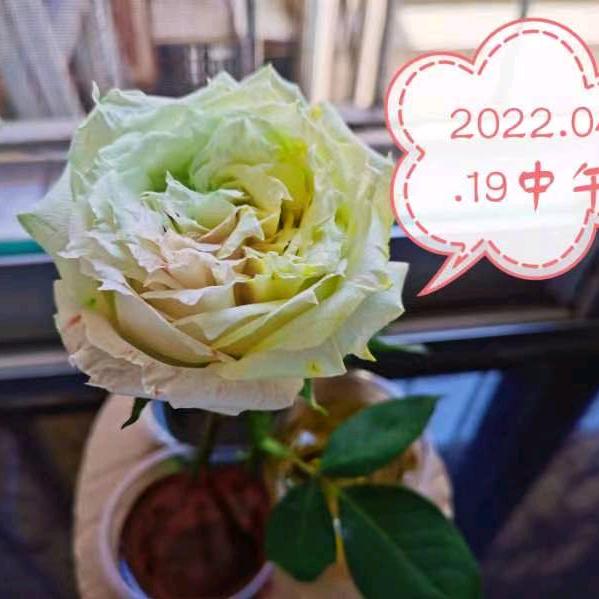 用户428321900215开心快乐